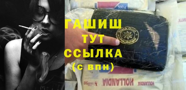 МДПВ Пересвет