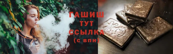 МДПВ Пересвет