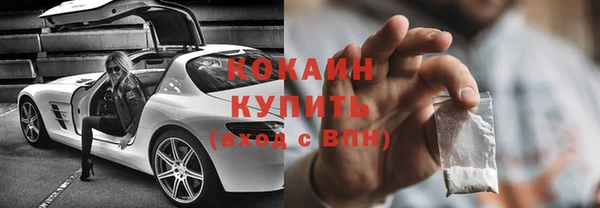 МДПВ Пересвет