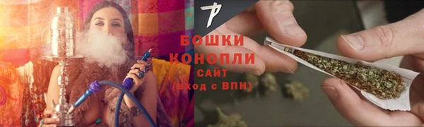 МДПВ Пересвет