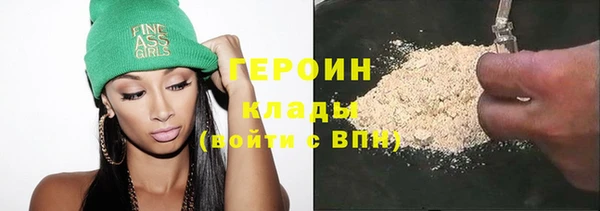 МДПВ Пересвет