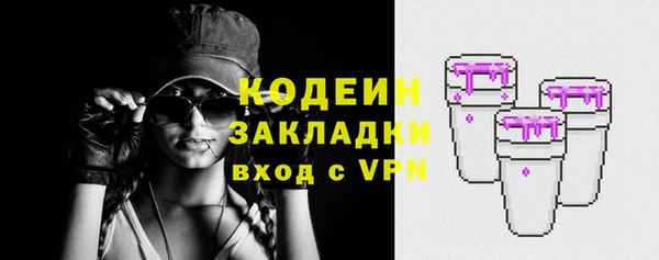 МДПВ Пересвет