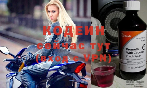 МДПВ Пересвет