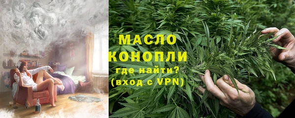 МДПВ Пересвет
