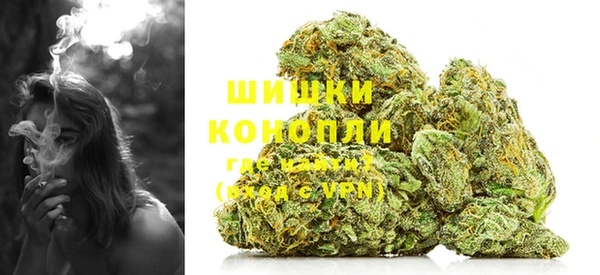 МДПВ Пересвет