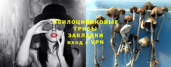 гидропоника Переславль-Залесский