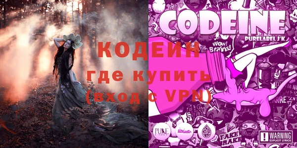 МДПВ Пересвет
