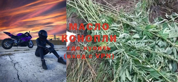 МДПВ Пересвет