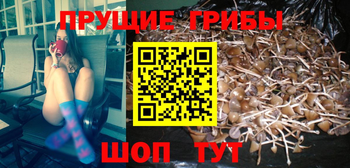 Псилоцибиновые грибы MAGIC MUSHROOMS  Азнакаево 