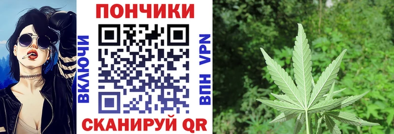 мега ССЫЛКА  Азнакаево  МАРИХУАНА ГИДРОПОН  как найти  